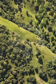 Royalty Free Photo of an Aerial Landscape with Grassy Pastures and Trees