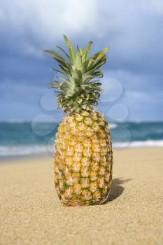 Royalty Free Photo of a Whole Pineapple on a Tropical Beach