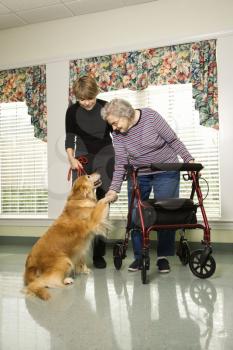 Royalty Free Photo of an Elderly Woman Using a Walker With a Woman Walking a Dog at a Retirement Community 