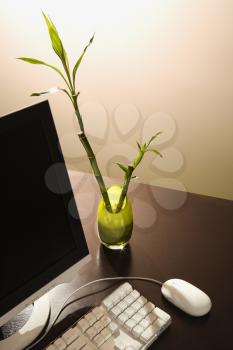Royalty Free Photo of a Computer On a Desk With a Lucky Bamboo in a Vase