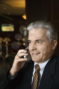 Royalty Free Photo of a Businessman Talking on a Cellphone in a Hotel Lobby