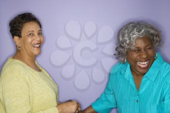 Mature adult African American females laughing.