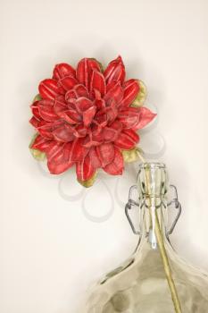 Royalty Free Photo of a Dried Red Flower in a Glass Jug