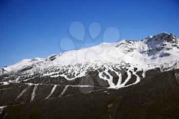 Ski resort trails on mountain.