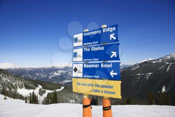 Ski resort trail direction signs.