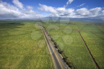 Royalty Free Photo of an Aerial View of a Road Passing Through Farmland Fields in Maui, Hawaii