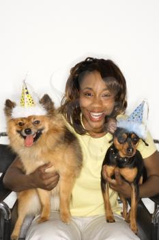 Royalty Free Photo of a Woman Holding a Pomeranian and Miniature Pinscher Dogs Wearing Party Hats
