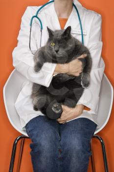 Royalty Free Photo of a Veterinarian Holding a Cat With One Eye
