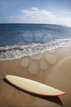Royalty Free Photo of a Surfboard on a Sandy Beach With the Ocean in Background in Maui Hawaii