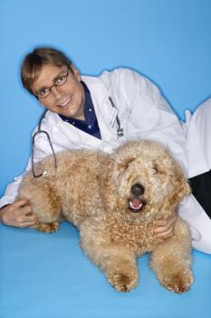 Royalty Free Photo of a Male Veterinarian With a Golden Doodle Dog