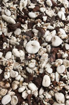 Royalty Free Photo of a Beach Worn Rocks and Shells in Maui, Hawaii, USA