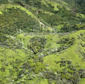 Royalty Free Photo of an Aerial View of Rolling Rainforest Hills in Maui, Hawaii