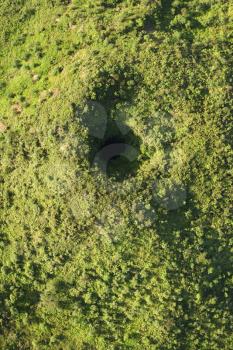 Royalty Free Photo of an Aerial View of a Collapsed Lava Tube Surrounded by Green Trees in Maui, Hawaii