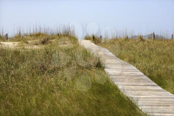 Royalty Free Photo of a Wooden Access Path to a Beach on Bald Head Island, North Carolina