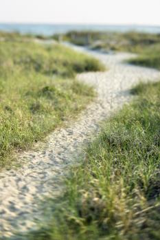 Royalty Free Photo of a Sandy Pathway to a Beach on Bald Head Island, North Carolina