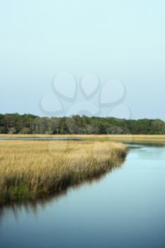Royalty Free Photo of a Scenic Marsh Landscape on Bald Head Island, North Carolina
