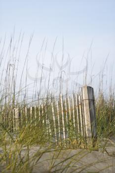 Royalty Free Photo of a Weathered Wooden Fence With Beach Grass on Bald Head Island, North Carolina