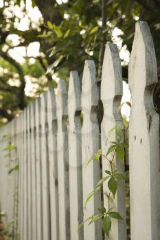 Royalty Free Photo of a White Picket Fence With Trees