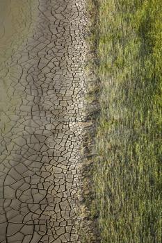 Royalty Free Photo of a Marshland With Grasses and Drying Cracked Mud