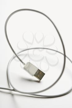 Royalty Free Photo of a Firewire Cord