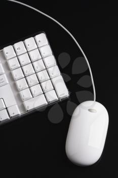 Royalty Free Photo of a Computer Mouse and Keyboard
