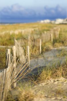 Royalty Free Photo of Natural Sand Dune Beach Area