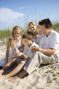 Royalty Free Photo of a Family of four sitting on beach looking at seashell