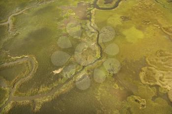 Royalty Free Photo of an Aerial View of Tributary on Bald Head Island, North Carolina