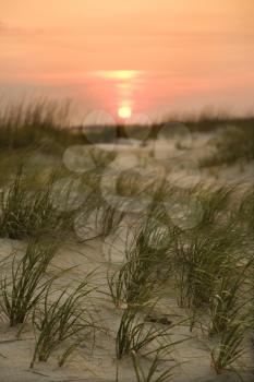 Royalty Free Photo of a Sun Setting Over a Beach Sand Dune on Bald Head Island, North Carolina