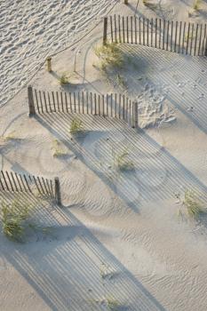 Royalty Free Photo of an Aerial View of Fences and Marram Grass on Beach of Bald Head Island, North Carolina