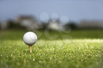 Royalty Free Photo of a Golf Ball and Tee on a Golf Course
