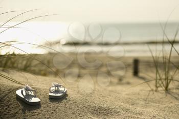 Royalty Free Photo of Two White Sandals on a Sandy Beach With Ocean in the Background