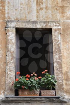 Royalty Free Photo of a Window Exterior With Flowers in Rome, Italy