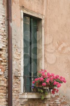 Royalty Free Photo of a Window With Closed Shutters and Geranium Flowers in Venice, Italy