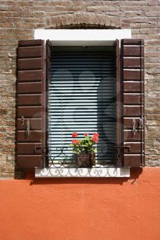 Royalty Free Photo of Potted Red Geraniums Sitting on a Sunny Window Sill