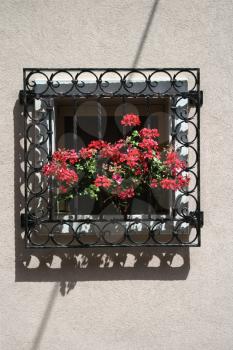 Royalty Free Photo of Potted Red Geraniums Peeking Through Iron Bars on a Sunny Window Sill