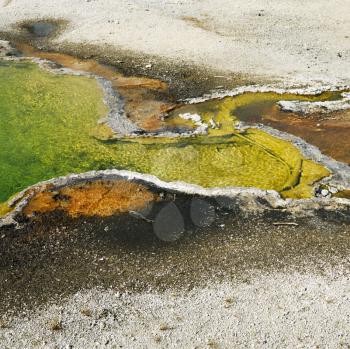 Colorful mineral deposits in geyser basin in Yellowstone National Park, Wyoming.