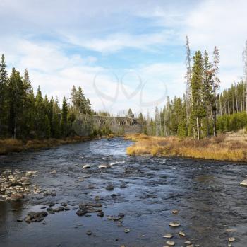 Royalty Free Photo of a Landscape With Shallow Stream in Yellowstone National Park, Wyoming
