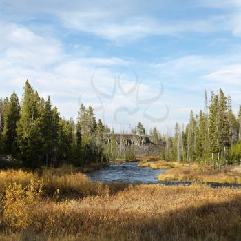 Royalty Free Photo of a Landscape With Stream and Field in Yellowstone National Park, Wyoming