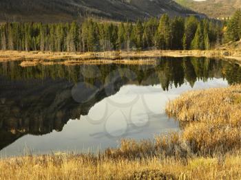 Royalty Free Photo of Wyoming Mountains Reflected in a Lake Surrounded by a Golden Field
