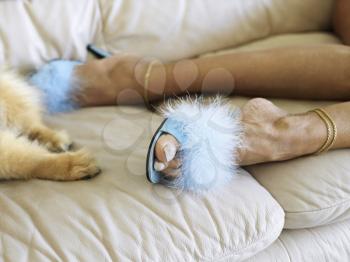 Royalty Free Photo of a Woman Wearing Furry Heels Beside a Dogs Paws on a Couch
