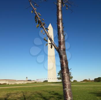 Royalty Free Photo of the Washington Monument in Washington, DC, USA.