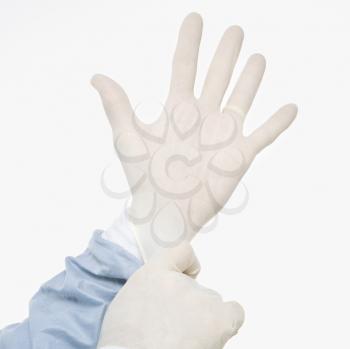 Royalty Free Photo of a Man Putting on Latex Medical Gloves