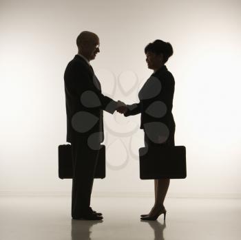 Royalty Free Photo of a Businessman and Businesswoman Standing and Shaking Hands