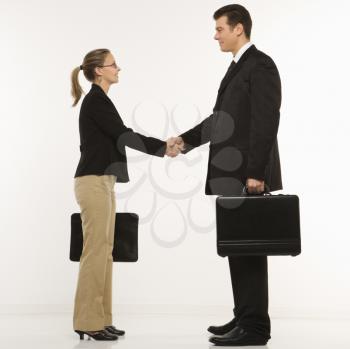 Royalty Free Photo of a Businessman and Businesswoman Shaking Hands
