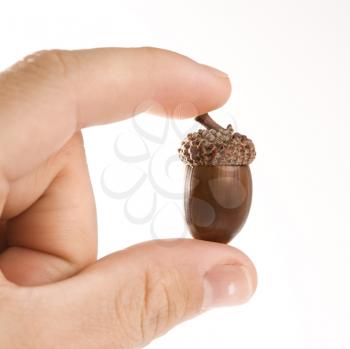 Royalty Free Photo of a Hand Holding Up a Single Acorn Between Two Fingers