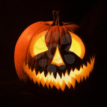 Royalty Free Photo of a Carved Halloween Pumpkin Glowing in the Dark