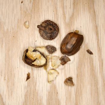 Crushed acorn on wood. 