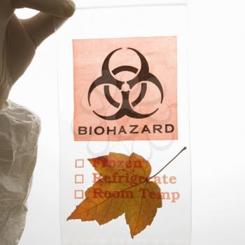Royalty Free Photo of a Hand Wearing a Glove Holding a Plastic Biohazard Bag Containing a Maple leaf