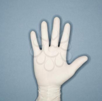 Royalty Free Photo of a Hand Wearing a White Rubber Glove